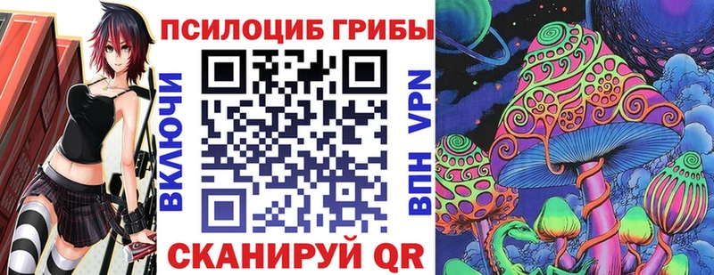 Псилоцибиновые грибы мицелий  купить наркоту  hydra ССЫЛКА  Талдом 